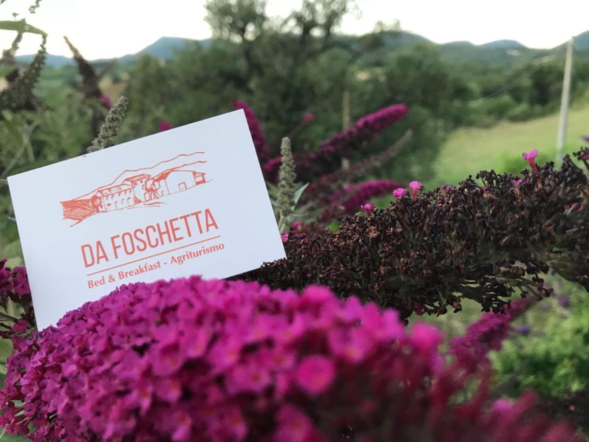 Da Foschetta Farm stay Matelica